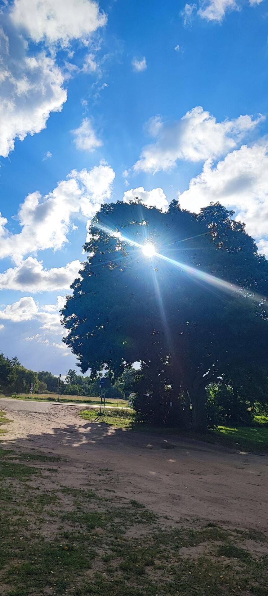 geweckt von der Sonne