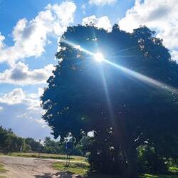 geweckt von der Sonne