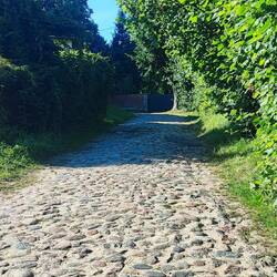 Manche Wege muss man schieben