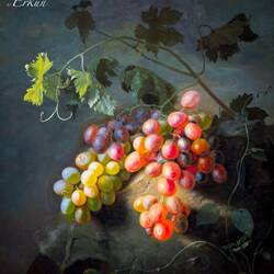 "Grapes" (Frants Bøe; 1845) ... Kode Rasmus Meyer — Bergen, Norway.
