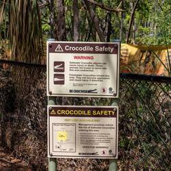 Okay... soviel zum Plantsch-Pool am Wangi Falls 😅