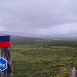 Rentier crossing