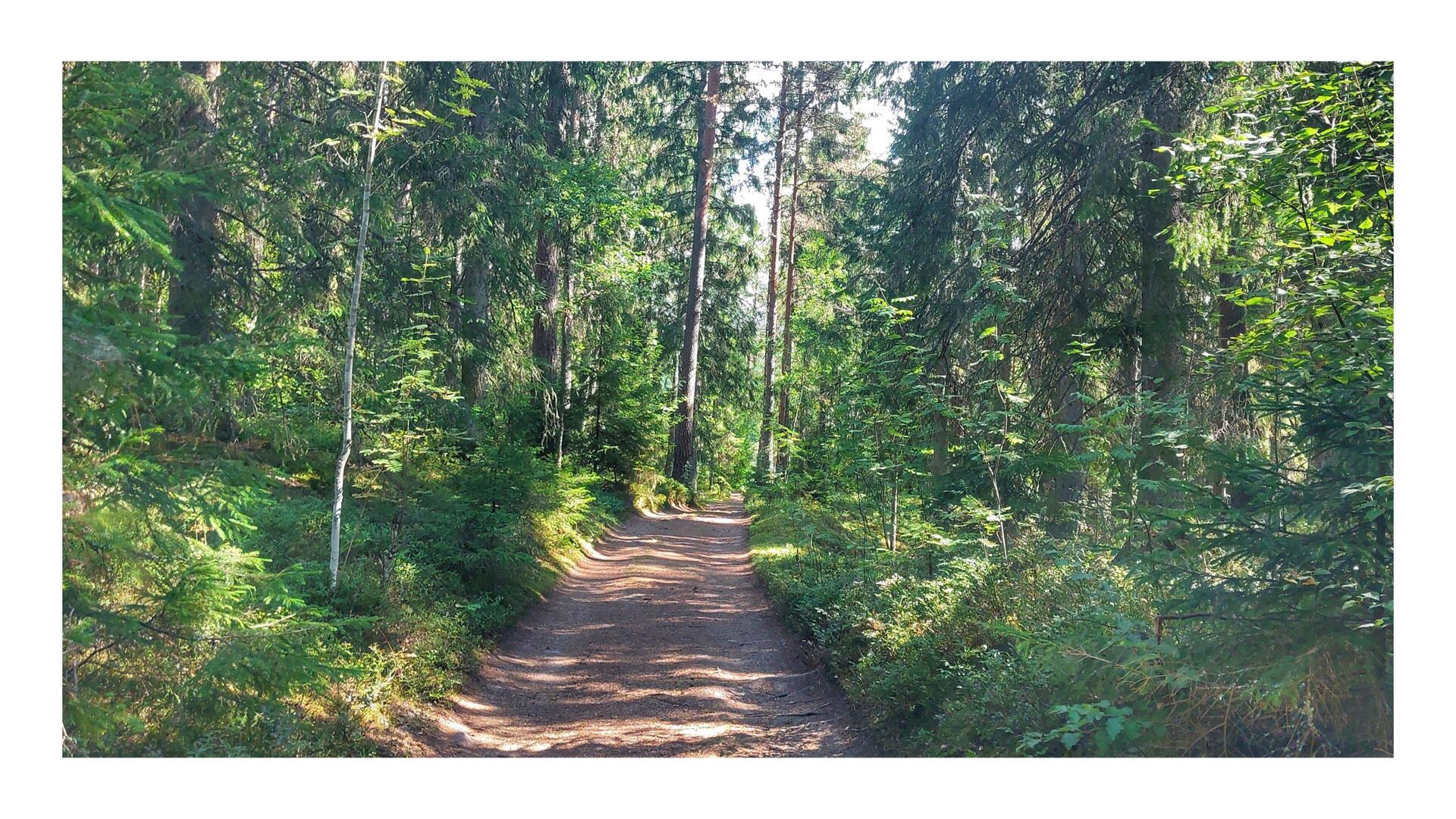 Eine enge und holprigen Angelegenheit