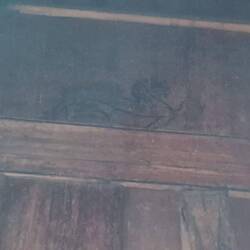 Wer sieht den Drachen?