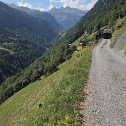 Ab nach Weisstannen