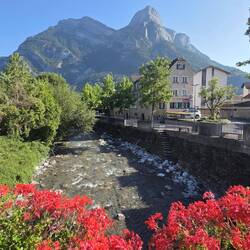 Aus Sargans raus