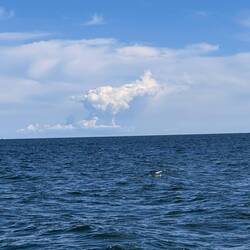 was bist Du?