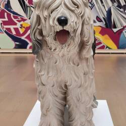 Alweer een hond! 😁