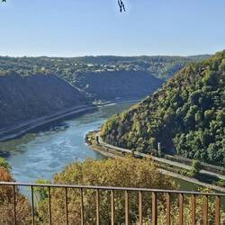 Oben auf der Loreley
