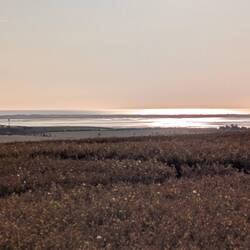 Holy Island from the campsite