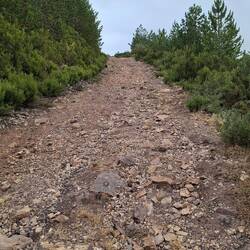 ...and then up again!