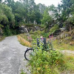 Sehr gut getarnt am Zugang zur Himakånå-Wanderung. Zumindest einseitig 🙃