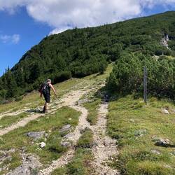 Die 1300 Hm verteilen sich auf ca. 8,6 km - ganz schön steil