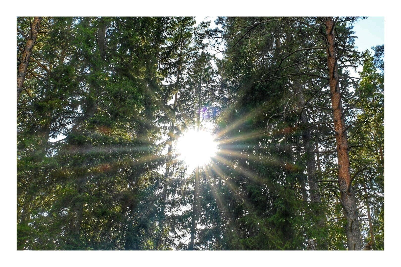 Der Tag fängt schön an..