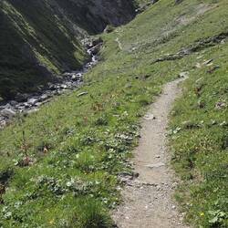 Immer am Bach entlang