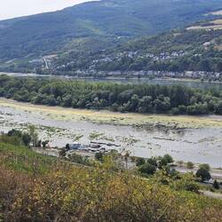 So wenig Wasser hat der Rhein