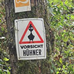 Hab keine Hühner gesehen