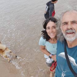 Al agua patos