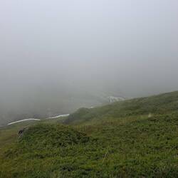 Wie gut, dass wir den Panoramaweg wegen des schönen Blicks gewählt hatten. 😉