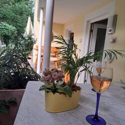 Unsere Terrasse