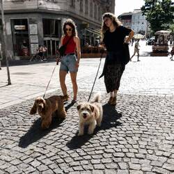 It was so good of that lady to pose exactly like she is taking Roxy for a walk.