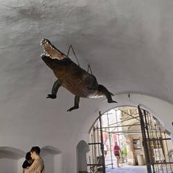 The dragon