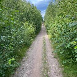 The track got a bit narrow