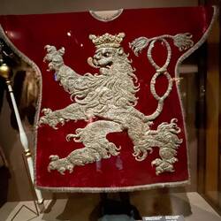 Nice lion