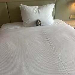 Sylvester gets his own bed