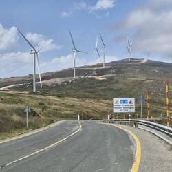 Heel groot windpark.