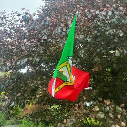 Le drapeau de Mayo, l'équipe championne