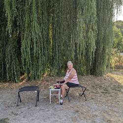 Abendessen unter der Trauerweide