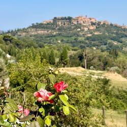Montepulciano
