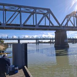 Road and rail bridges over the Murray at Murray Bridge