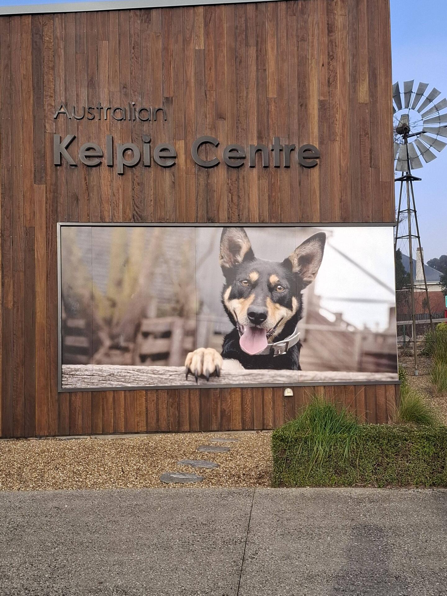 Where the original kelpie was breed & trained. Kelpie dog trials held here every year