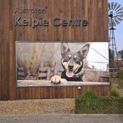 Where the original kelpie was breed & trained. Kelpie dog trials held here every year