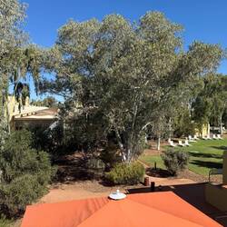 View from our room