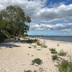 Schöner Naturstrand beim Camping in Ulslev