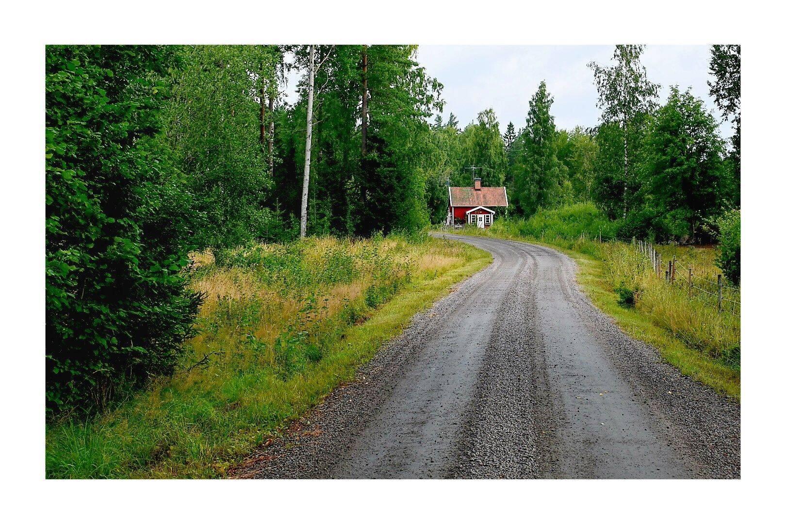 Die ersten 25 km gingen durch eine schöne Waldllandschaft