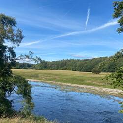 An und in diesem Fluss hat so viel gelebt