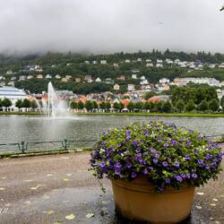 Byparken ... Lille Lungegårdsvannet (Small Lung) from Rasmus Meyer — Bergen, Norway.