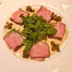 Vitello Tonnato - Kalbfleisch mit Thunfischsauce und Kapern