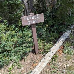 We took the lower trail going down