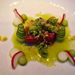 Duett vom Lachs: Miso-Lachs & Rote-Beete-Lachs mit Gin, Gurke und Wasabi-Mayonnaise