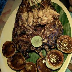 Fish, clams and squid