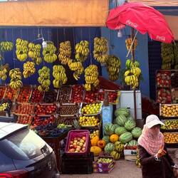 Unterwegs bei Agadir