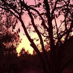 Sunrise this morning
