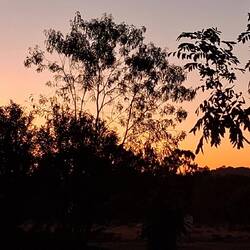 Sunset last night