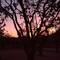 Sunrise Chillagoe