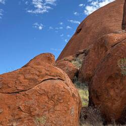 Note the black headed monitor in the crack on the rock on the left